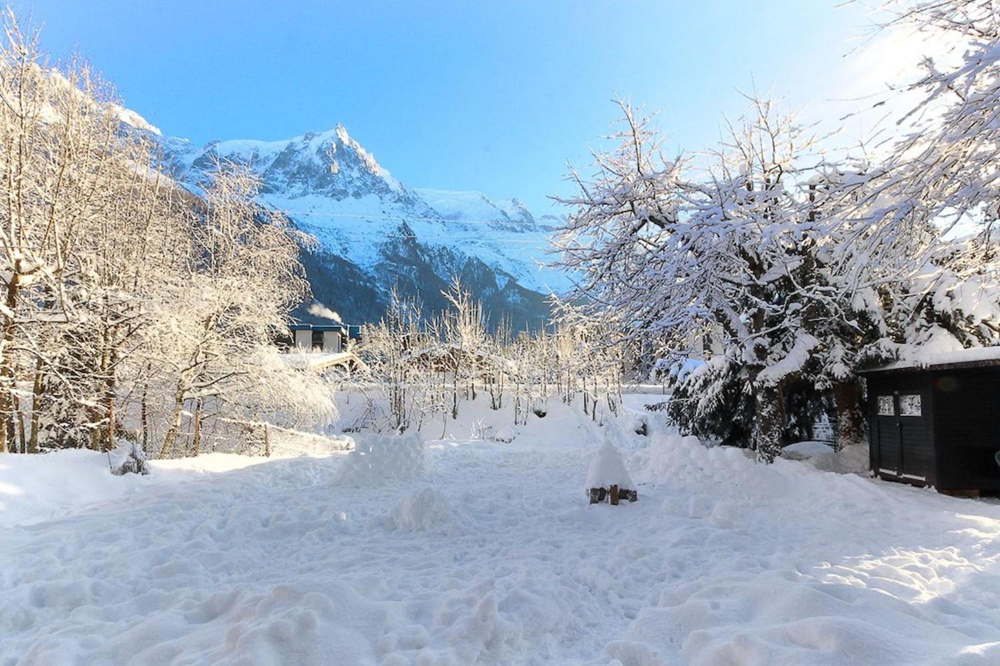 Violette De Cham - Jardin Prive - Vue Mont Blanc Lägenhet Chamonix Exteriör bild